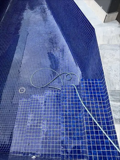 Labrador: tiled steps